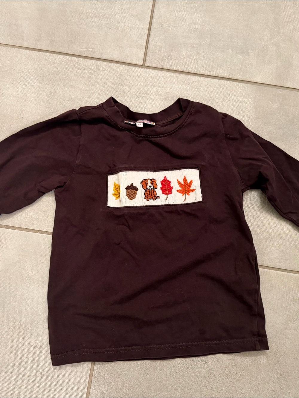 Smocked Polkadot brown long sleeve tee smocked fall theme leaves dog 4T